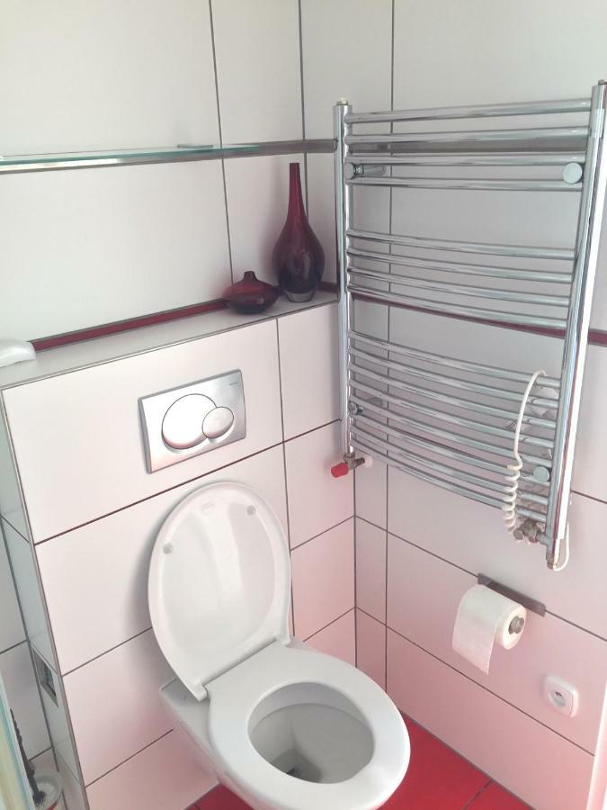 Krasny Apartman U Lesa, Trolejbus Do Centra A Bvv, Parkovani Zdarma Брно Екстер'єр фото